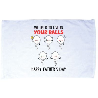 Funny We Used To Live In Your Balls Fathers Day Sperm Daddy Cute Gift Microfiber Hand Towel