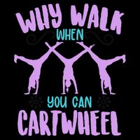 Funny Why Walk When You Can Cartwheel Kids Colorblock Raglan Jersey