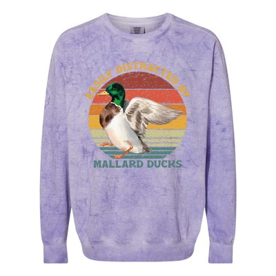 Funny Waterfowl Wild Birds Easily Distracted By Mallard Duck Colorblast Crewneck Sweatshirt