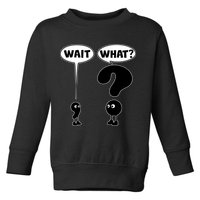 Funny Wait What Comma Question Mark Comic Toddler Sweatshirt