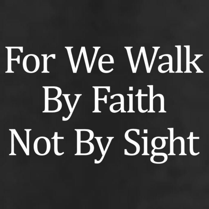 For We Walk By Faith Not By Sight Funny Gift Adult Drive Performance Visor