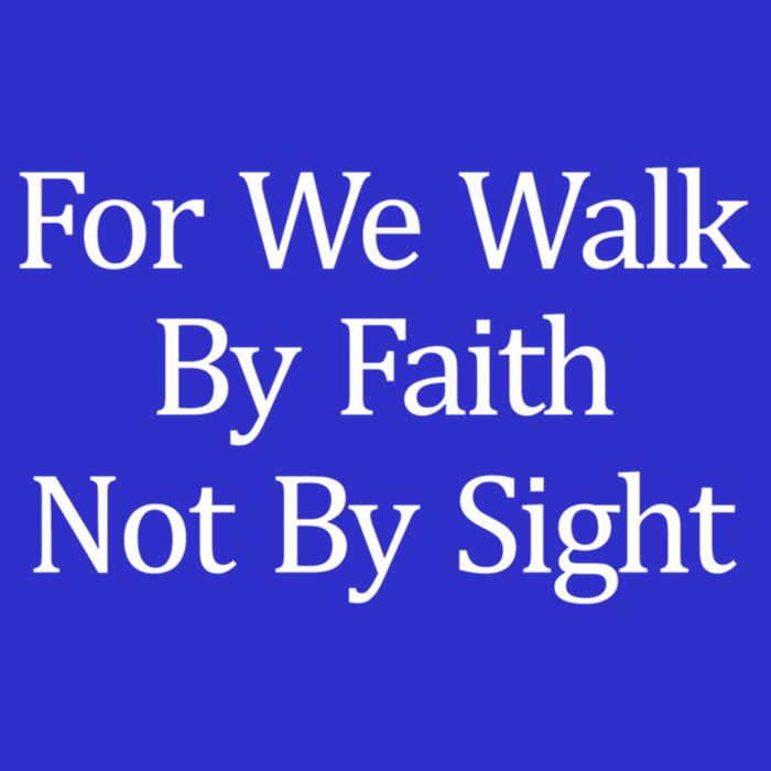 For We Walk By Faith Not By Sight Funny Gift 16 in Basic Backpack