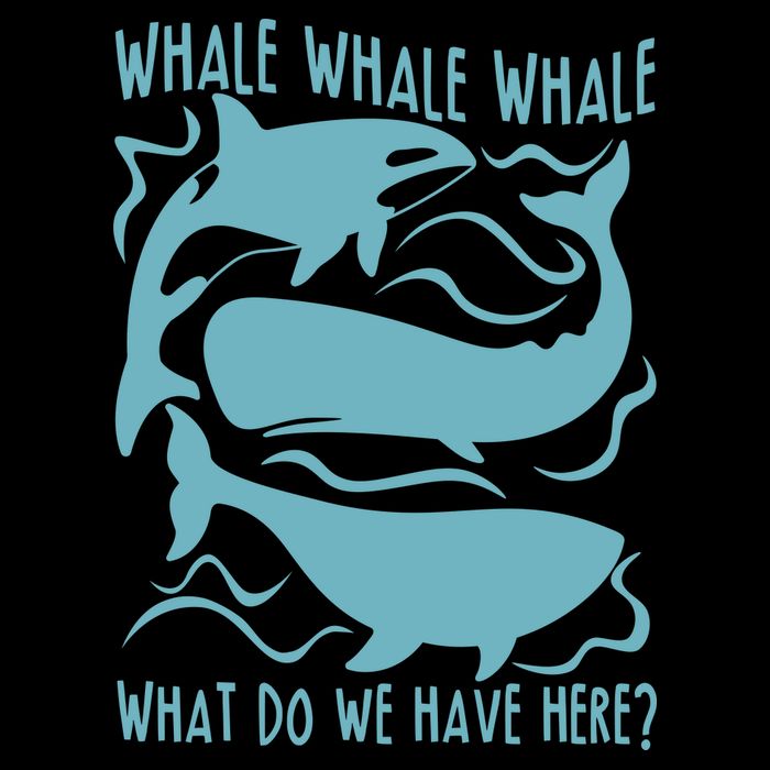 Funny Whale What Do We Have Here USA-Made Doggie Bandana