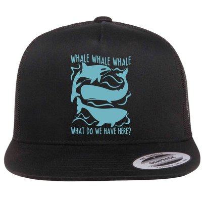 Funny Whale What Do We Have Here Flatbill Hat