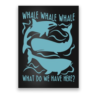 Funny Whale What Do We Have Here Poster