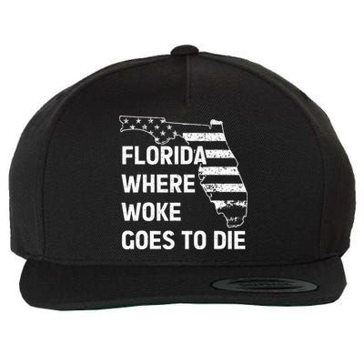 Florida Where Woke Goes To Die Funny Retro Wool Snapback Cap