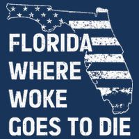 Florida Where Woke Goes To Die Funny Retro Cooling Performance Crew T-Shirt