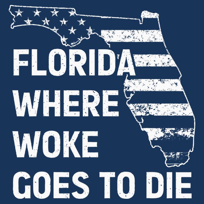 Florida Where Woke Goes To Die Funny Retro Cooling Performance Crew T-Shirt