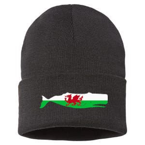 Funny Whale Wales Flag Pun For Welsh American Whales Lover Sustainable Knit Beanie