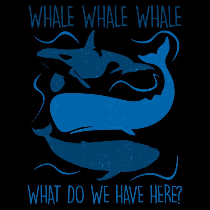 Funny Whale Whale Whale What Do We Have Here? Mug