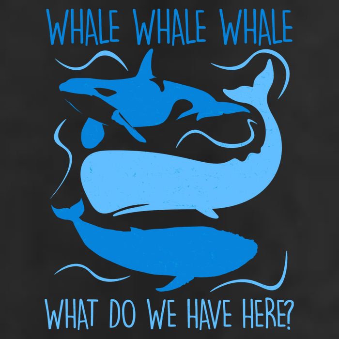 Funny Whale Whale Whale What Do We Have Here? Tumbler