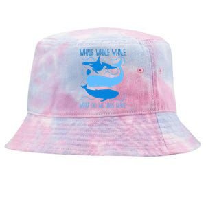 Funny Whale Whale Whale What Do We Have Here? Tie-Dyed Bucket Hat