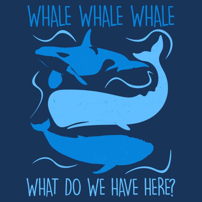 Funny Whale Whale Whale What Do We Have Here? Drawstring Bag