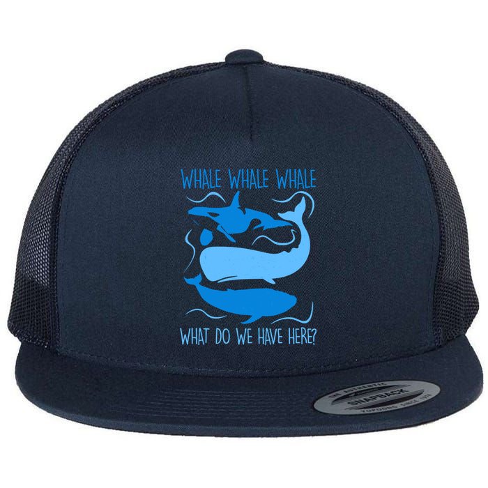 Funny Whale Whale Whale What Do We Have Here? Flat Bill Trucker Hat