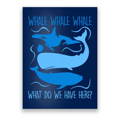 Funny Whale Whale Whale What Do We Have Here? Poster