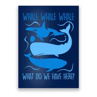 Funny Whale Whale Whale What Do We Have Here? Poster