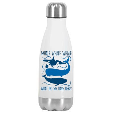 Funny Whale Whale Whale What Do We Have Here? Stainless Steel Insulated Water Bottle