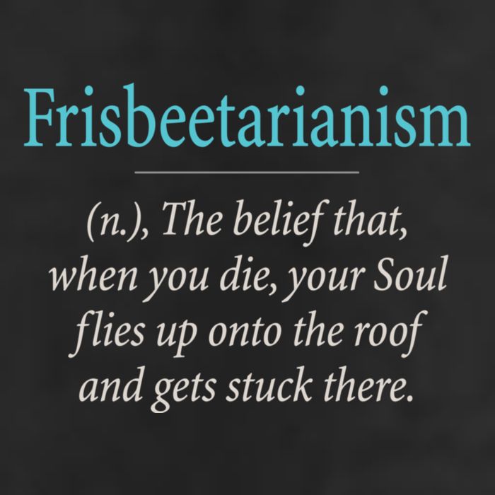 Frisbeetarianism, When Your Soul Flies Up On The Roof! Adult Drive Performance Visor