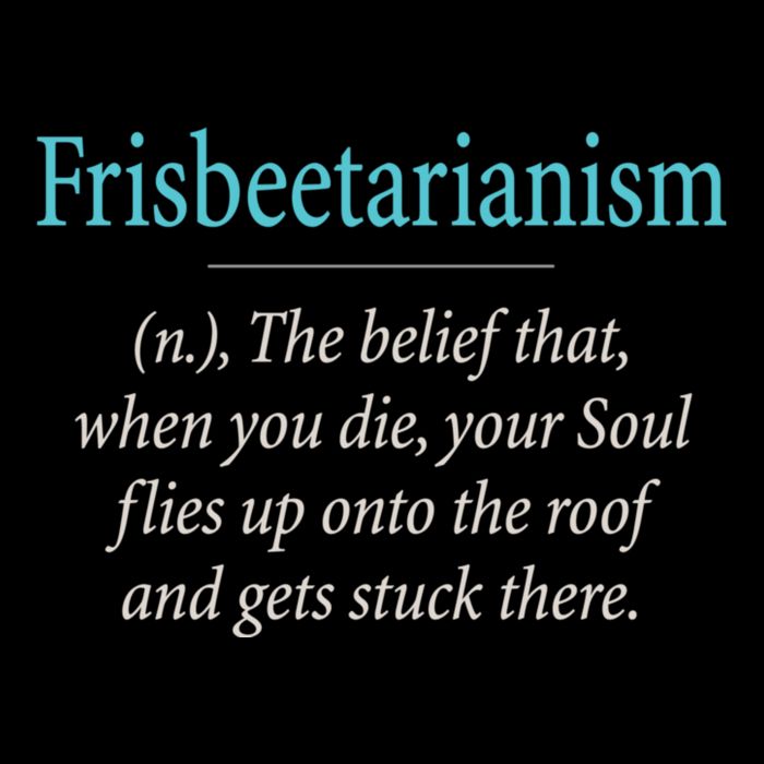 Frisbeetarianism, When Your Soul Flies Up On The Roof! Short Acrylic Beanie