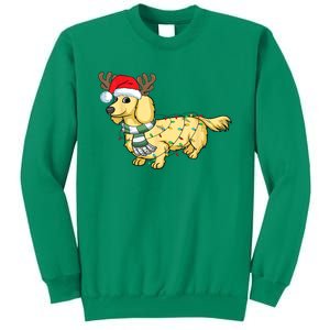 Funny Xmas Cream Dachshund Reindeer Santa Dog Merry Christmas Gift Sweatshirt