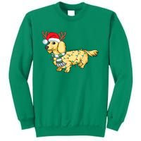 Funny Xmas Cream Dachshund Reindeer Santa Dog Merry Christmas Gift Sweatshirt