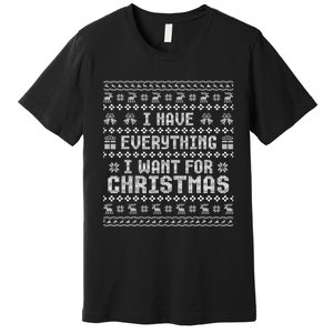 Funny Xmas Couples I Have Everything I Want For Christmas Premium T-Shirt