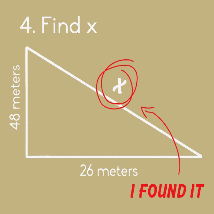 Find X Funny Math Joke Algebra Geometry Teacher Button