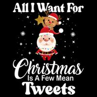 Funny Xmas Humor All I Want Christmas Is A Few Mean Tweets Gift Wool Snapback Cap