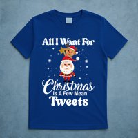 Funny Xmas Humor All I Want Christmas Is A Few Mean Tweets Gift T-Shirt