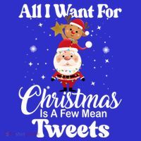 Funny Xmas Humor All I Want Christmas Is A Few Mean Tweets Gift Tall T-Shirt