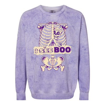 Funny Xray Halloween Costume Rib Cage Skeleton Dog See Boo Colorblast Crewneck Sweatshirt