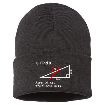 Find X Here It Is That Was Easy Funny Math Lover Sustainable Knit Beanie