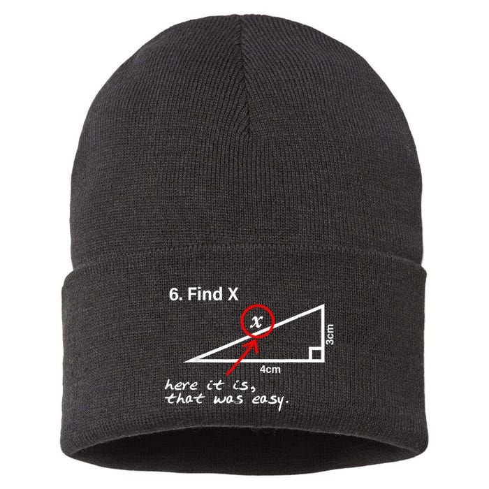 Find X Here It Is That Was Easy Funny Math Lover Sustainable Knit Beanie
