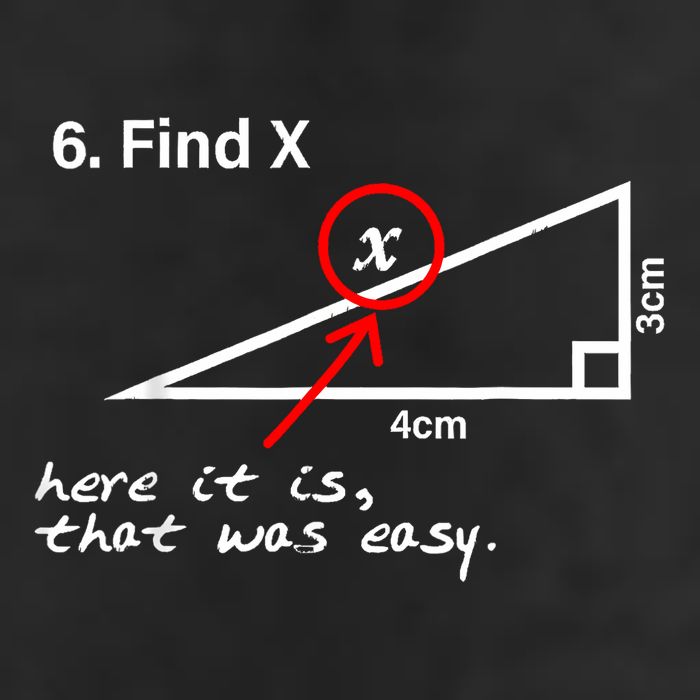 Find X Here It Is That Was Easy Funny Math Lover 25L Jumbo Tote
