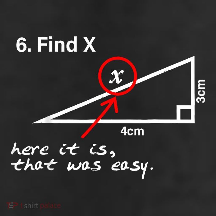 Find X Here It Is That Was Easy Funny Math Lover Trucker Hat