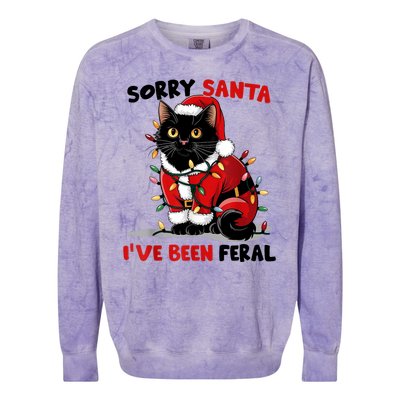 Funny Xmas Lights Sorry Santa Ive Been Feral Black Cat Christmas Gift Colorblast Crewneck Sweatshirt