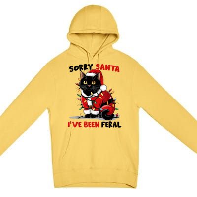 Funny Xmas Lights Sorry Santa Ive Been Feral Black Cat Christmas Gift Premium Pullover Hoodie