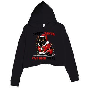 Funny Xmas Lights Sorry Santa Ive Been Feral Black Cat Christmas Gift Crop Fleece Hoodie