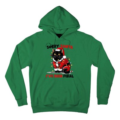 Funny Xmas Lights Sorry Santa Ive Been Feral Black Cat Christmas Gift Hoodie