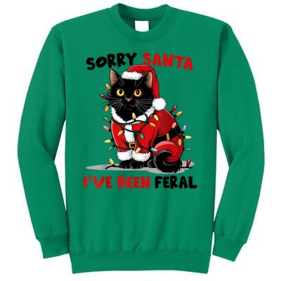 Funny Xmas Lights Sorry Santa Ive Been Feral Black Cat Christmas Gift Sweatshirt