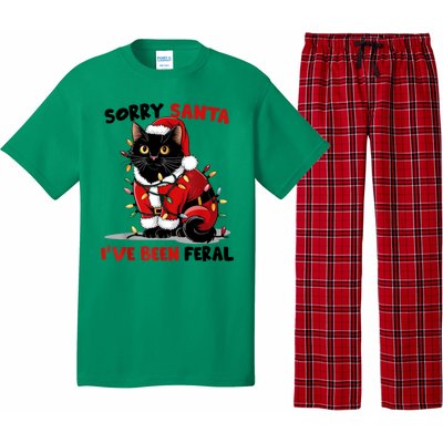 Funny Xmas Lights Sorry Santa Ive Been Feral Black Cat Christmas Gift Pajama Set