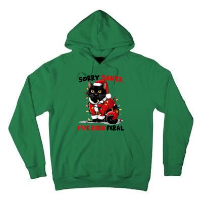 Funny Xmas Lights Sorry Santa Ive Been Feral Black Cat Christmas Gift Tall Hoodie