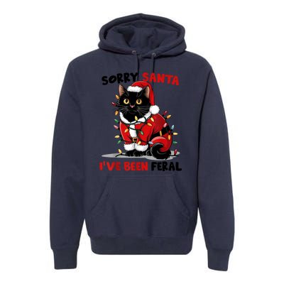 Funny Xmas Lights Sorry Santa Ive Been Feral Black Cat Christmas Gift Premium Hoodie