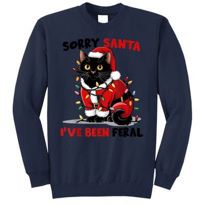 Funny Xmas Lights Sorry Santa Ive Been Feral Black Cat Christmas Gift Tall Sweatshirt