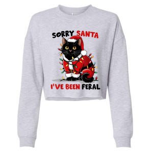 Funny Xmas Lights Sorry Santa Ive Been Feral Black Cat Christmas Gift Cropped Pullover Crew