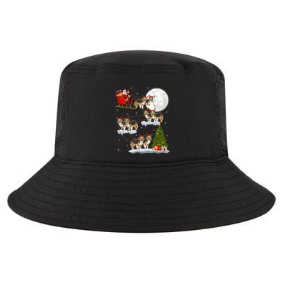 Funny Xmas Lighting Tree Santa Riding Sheltie Christmas Cool Comfort Performance Bucket Hat
