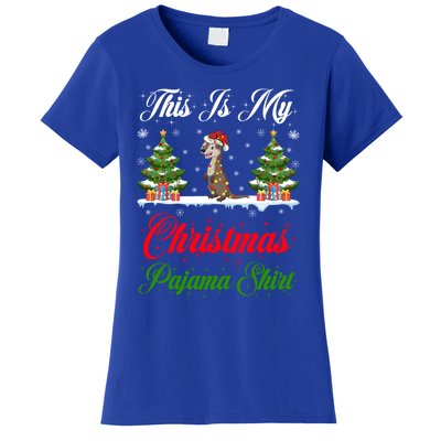 Funny Xmas Lighting This Is My Otter Christmas Pajama Gift Women's T-Shirt