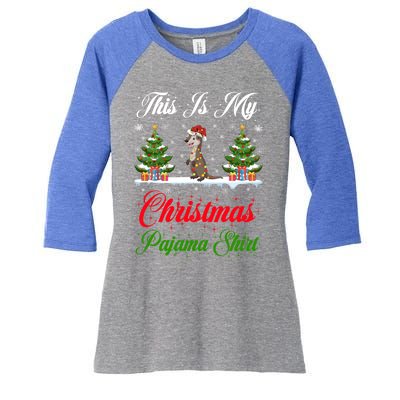 Funny Xmas Lighting This Is My Otter Christmas Pajama Gift Women's Tri-Blend 3/4-Sleeve Raglan Shirt