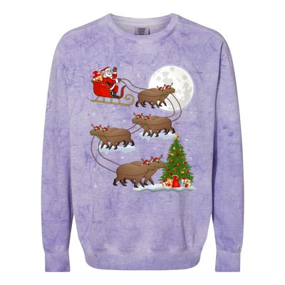 Funny Xmas Lighting Tree Santa Riding Capybara Christmas Gift Colorblast Crewneck Sweatshirt