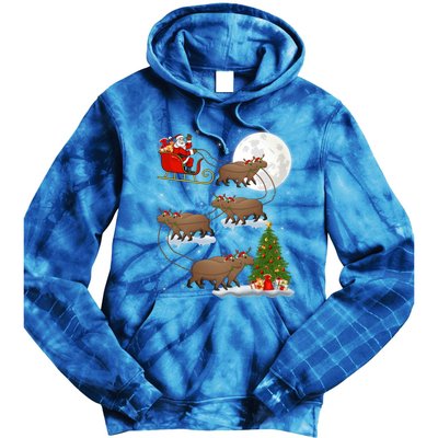 Funny Xmas Lighting Tree Santa Riding Capybara Christmas Gift Tie Dye Hoodie